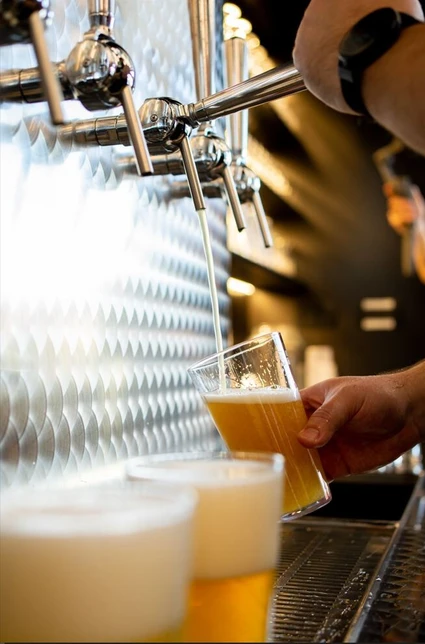 Craft Beer Tasting & Brewery Tour in Arco Craft Beer Tasting & Brewery Tour in Arco